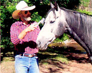 Tips on How to Apply Insect Repellent to Animals Image